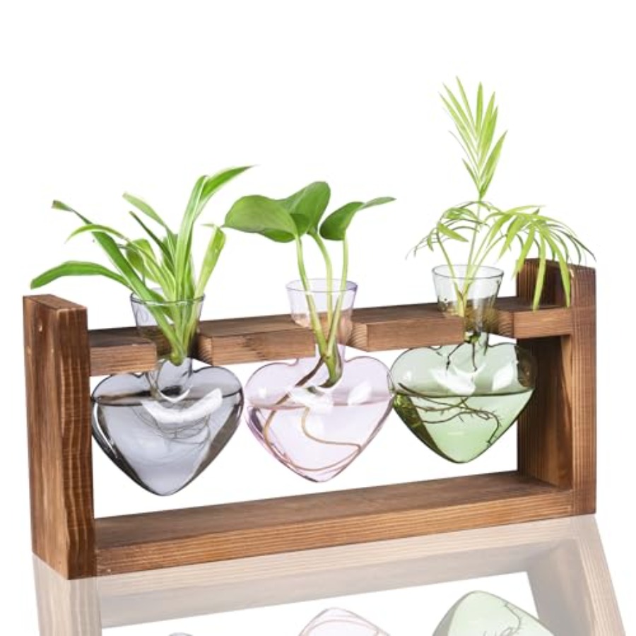 Propagation Station Vase - 3-Heart Plant Terrarium Kit - Stained