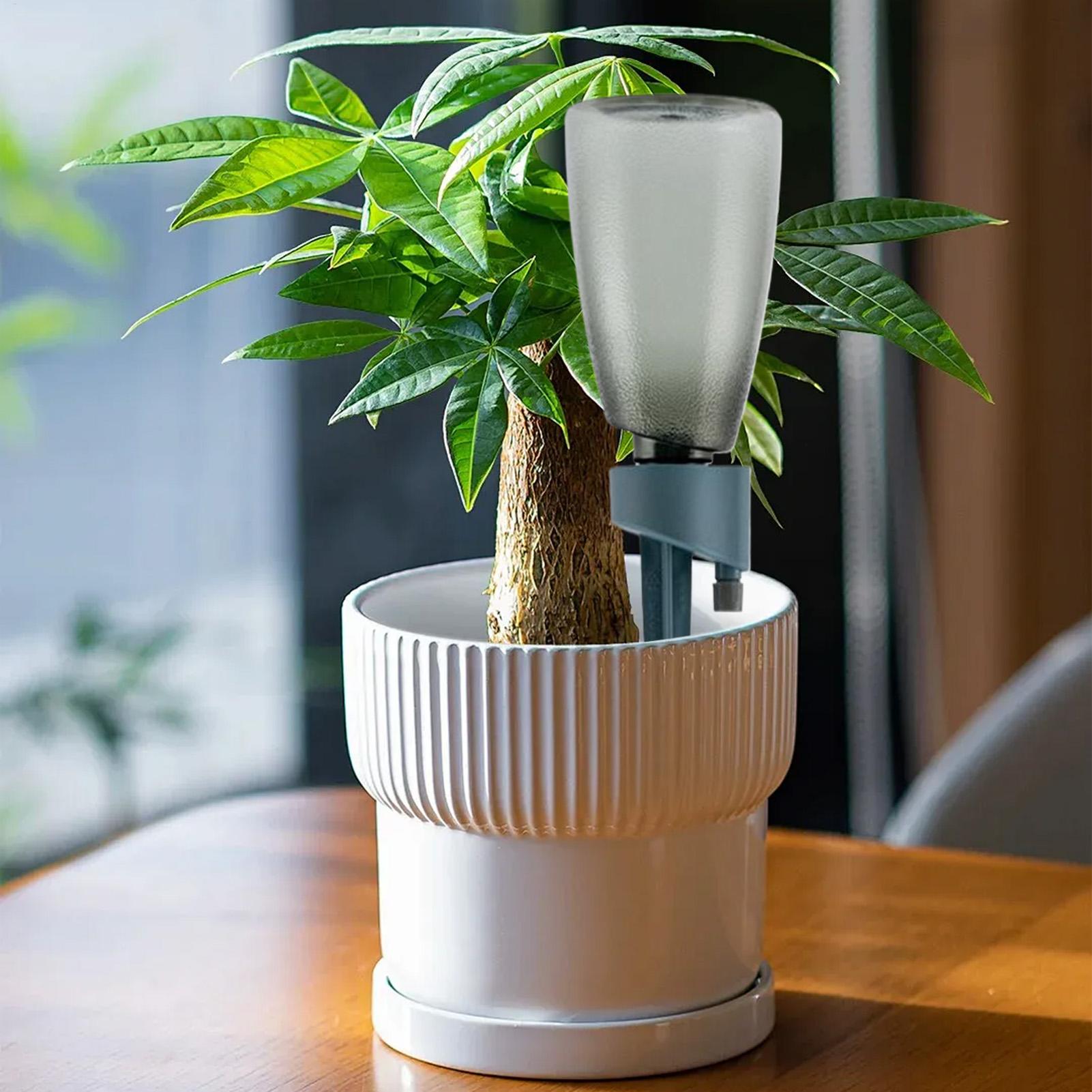 6pcs Automatic Waterer Househo - Self Watering Insert review and price