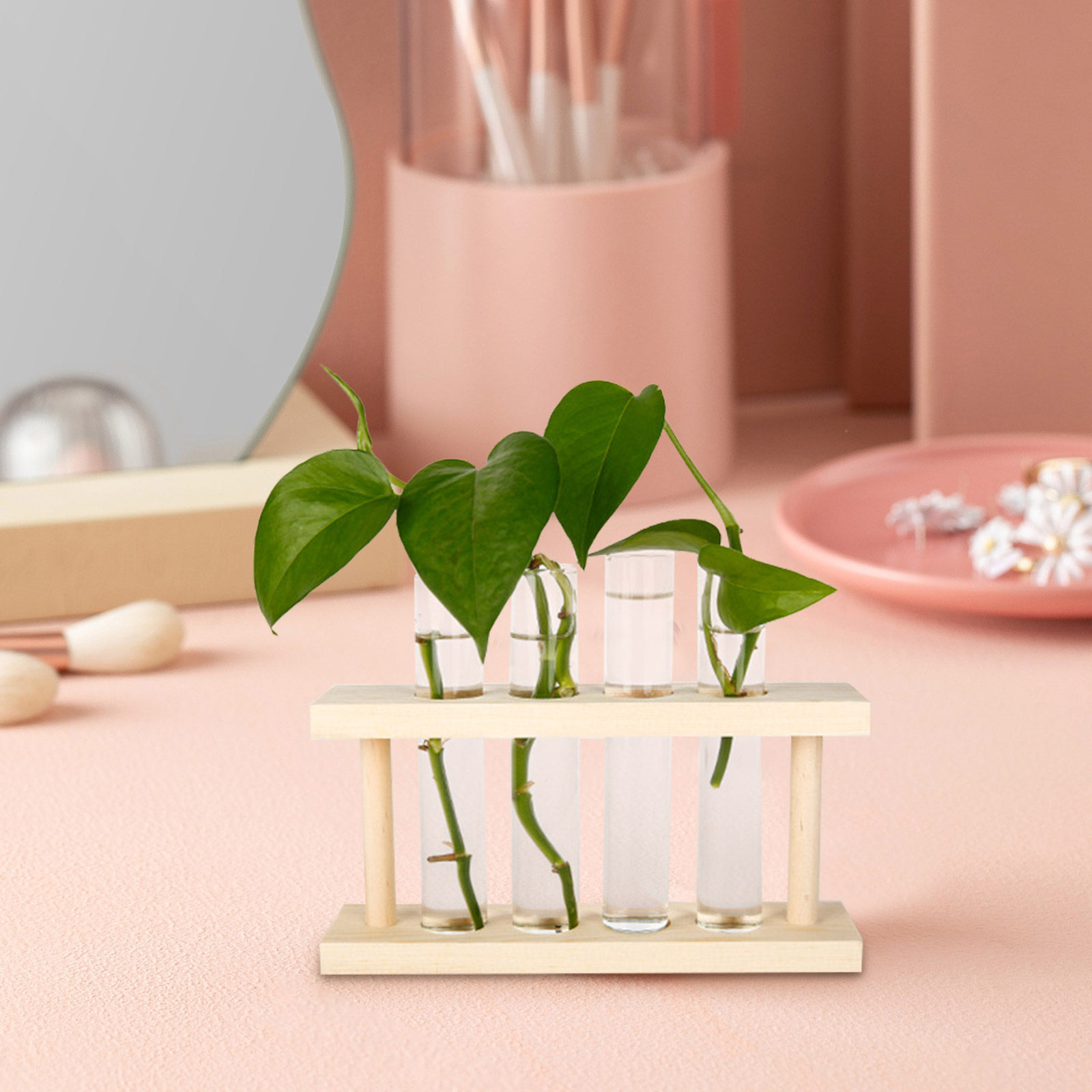 6Pcs Clear Test Tube Flower Va - Propagation Station Vase review and price